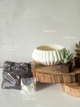 suculentas-cactus-regalos-para-mujer-regalo-para-hombres-cuidados-de-suculentas-decoracion-para-oficinas-siembra-suculentas-maceta-en-ceramica-habibi-plantitas.jpg